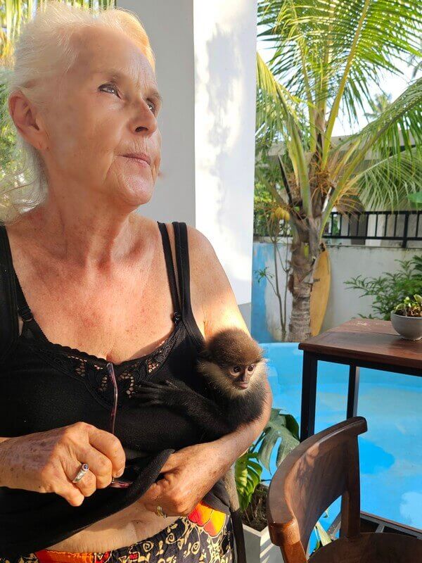 saving nature in Ahanagama. we welcome you to come save dogs, cats, wildlife, monkeys