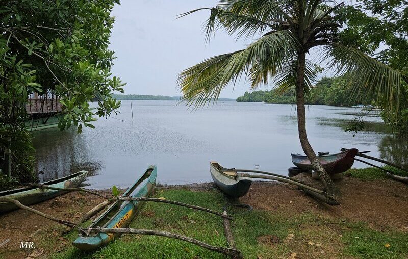 נוף טרופי באהנגמה אגם קוגלה – tropical Sri Lanka landscape שמשלב ים כחול וחול זהוב.