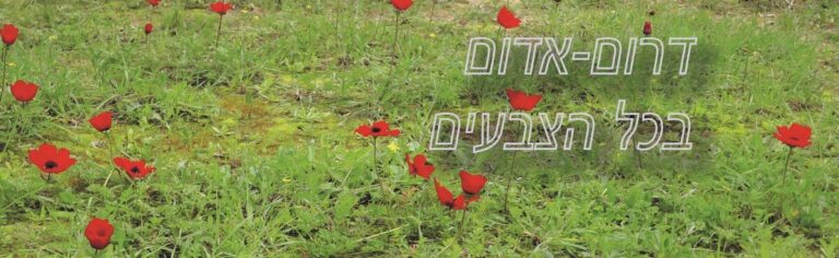 Read more about the article מטיילים אל הדרום הצבעוני, פסטיבל דרום אדום