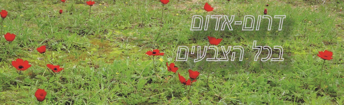 טיול בדרום אטרקציות כל השנה בכל הצבעים, אירוח כפרי מפנק, אירועי תרבות, בתי קפה ומסעדות, מסלולי טיול מיוחדים