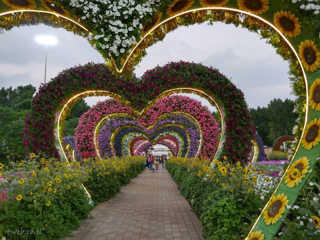 dubai miracle garden גן מדהים של מיצגים עם פרחים