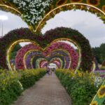 dubai miracle garden גן מדהים של מיצגים עם פרחים