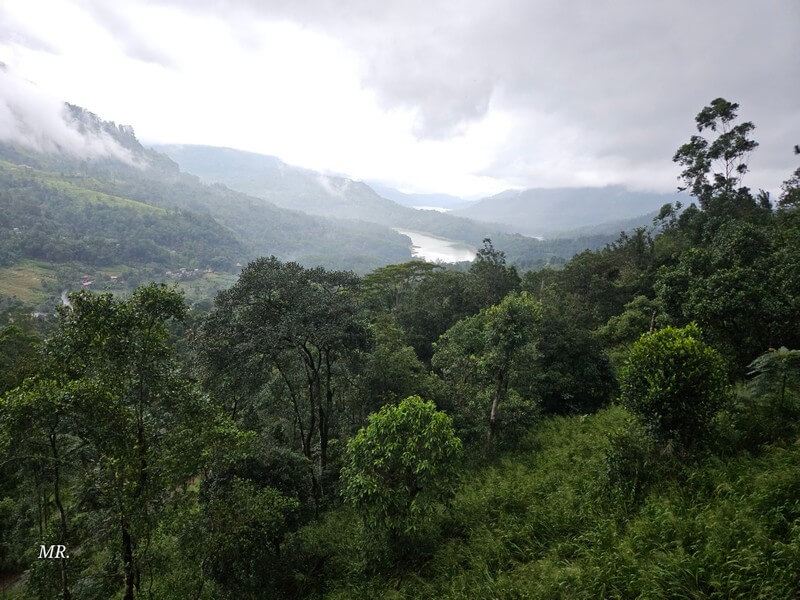 Scenic tea plantations in Ella – top recommendation for world travelers.