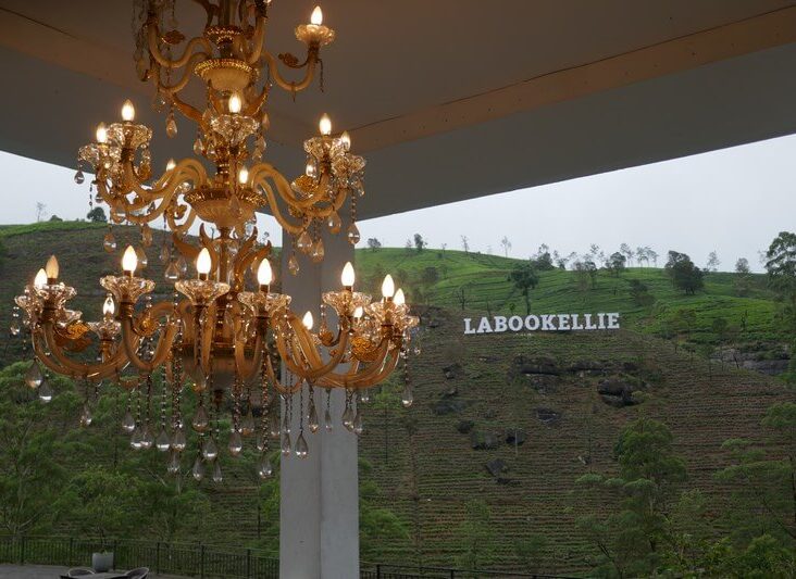 tea plantation and Ceylon tea factory – a highlight for Sri Lanka tourism.