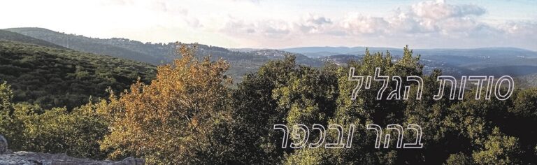 Read more about the article מקומות לטייל בצפון, בהר ובכפר