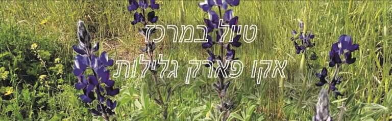 Read more about the article טיול מיוחד במרכז – אקו פארק גלילות