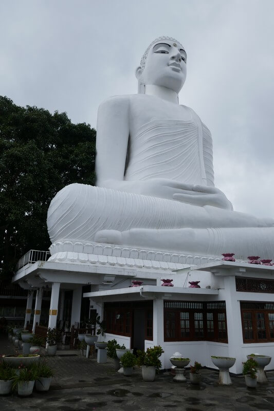 נופי ההרים של קנדי – Kandy Sri Lanka nature למטיילים שמחפשים טיולים מיוחדים בעולם