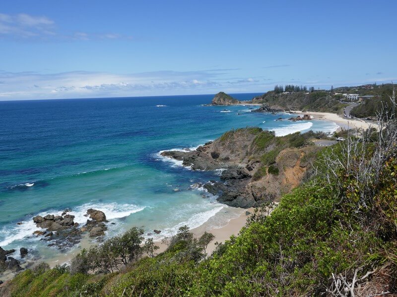 מרכז שיקום לקואלות ב Port Macquarie הוא אחד ממוקדי התיירות החשובים בחוף המזרחי של אוסטרליה