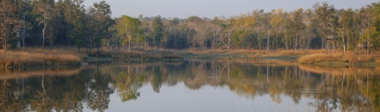 Read more about the article Cultures and Wildlife in India: Pench Tiger Reserve, Nagpur and Sanchi