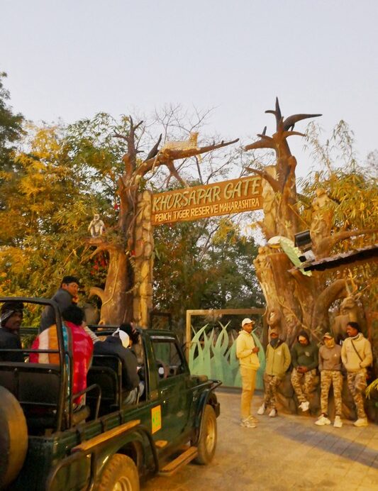 גן עדן לצפרות: השמורה Pench מאכלסת מעל 300 מינים של ציפורים/ Pench National Park-Khusapar gate