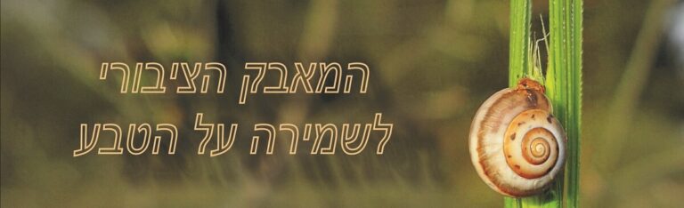 Read more about the article המאבק הציבורי על הטבע