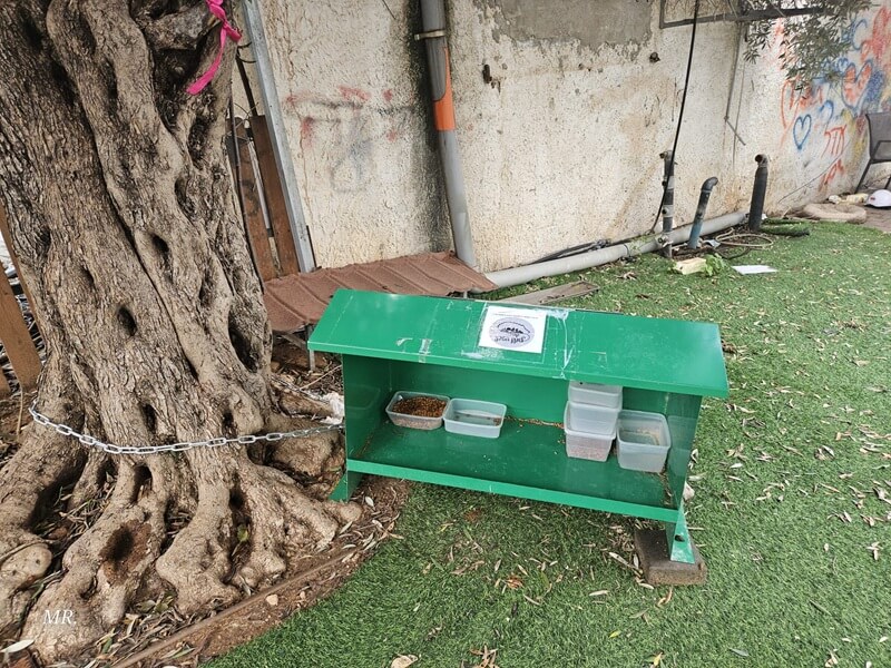 תחנת האכלה לחתולי רחוב שהוקמה מחוץ לאתר הריסה בהרצליה