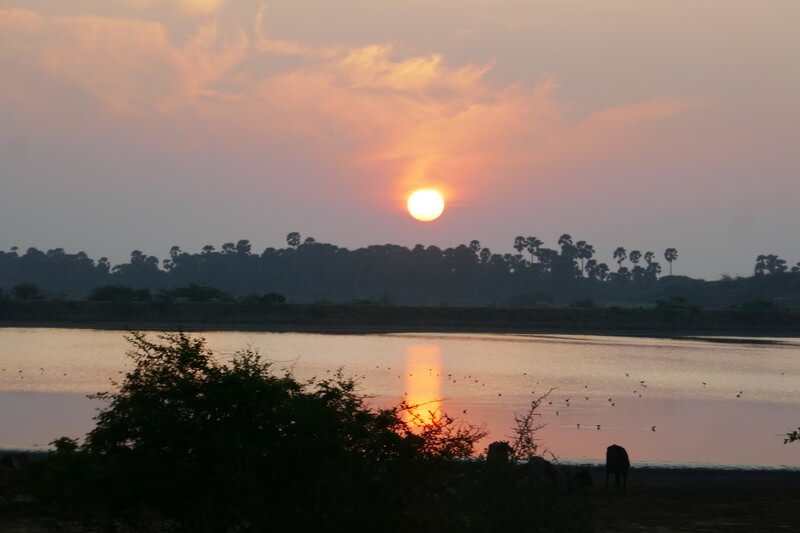 Sunrise over Yala safari tracks and lake – unique trips around the world