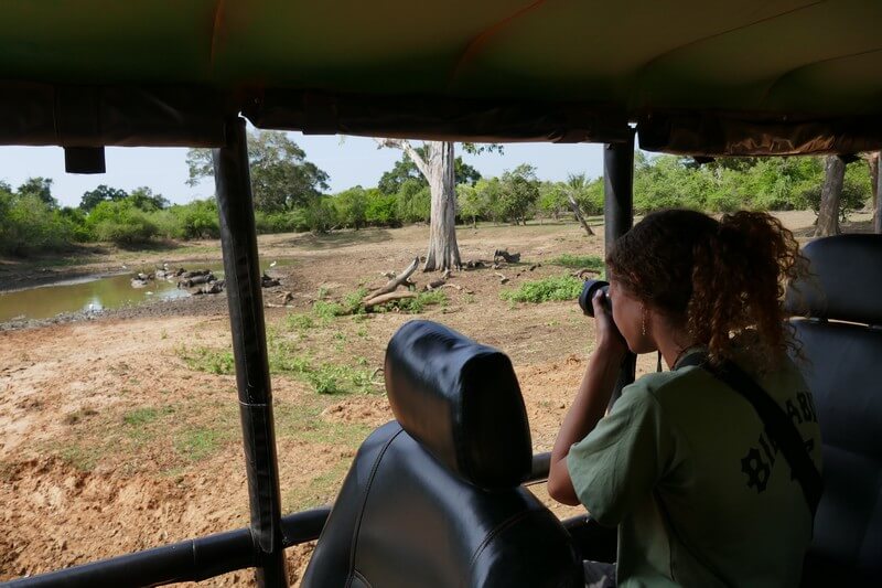 תצפית חיות בר בספארי yala sri lanka – טבע ותצפיות על בעלי חיים בסרי לנקה